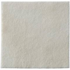 Biatain Coloplast Alginate 10x10cm 10pz