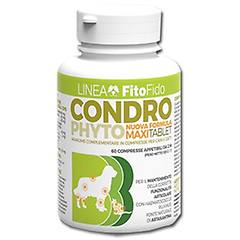 Trebifarma Srl Condrophyto 60cpr 2g