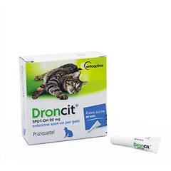 bayer spot on antiparassitario per gatti 4 tubetti 20 mg