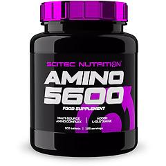 Scitec Nutrition. Aminoacidi Essenziali Amino 5600 500