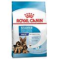 italia spa starter mother&babydog crocchette per cagne e cuccioli taglia piccola sacco 15kg