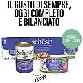 nature cat in jelly lattina multipack 8x140g tonnetto con filetti di manzo
