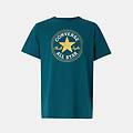 t-shirt da uomo verde