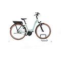 ebike ricondizionata · riese & müller swing rücktritt · buone condizioni