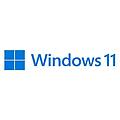windows 11 pro 1 licenza
