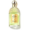 - aqua allegoria forte nerolia vetiver eau de parfum aqua allegoria forte nerolia. v edp 125ml