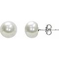 orecchini donna gioielli ybbor011
