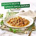 nature's creations cat lattina multipack 12x85g tacchino e spinaci