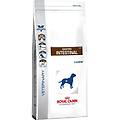 royal canin. mangime gastro intestinal uccelli crocchette ritiro gratis
