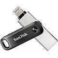 sdix60n-256g-gn6ne unita' flash usb 256gb 3. 2 gen 1 grigio-argento