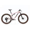 mtb ricondizionata · epic s-works xx1 axs · ottimo stato