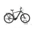 ebike ricondizionata · iconic evo 1 · come nuovo