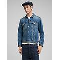 giubbino in denim used