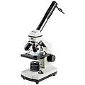 - biolux nv 20x-1280x microscopio