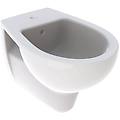 bidet sospeso colibrì
