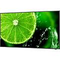 Nec Monitor Lfd Multisync E438 E Series 60005045