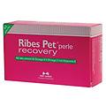 nbf lanes pet recovery blister 60 perle