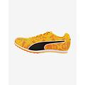 scarpe evospeed star 8 giallo arancio nero 44. 5
