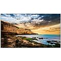monitor qe55t 55 3840x2160 16/7 lh55qetelgcxen