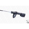 Monroe 1 Ammortizzatore G8168
