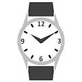 - watches mod. dz4519