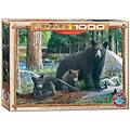 - (eurhr nuove scoperte di kevin daniel puzzle da 1000 pezzi puzzle da 1000 pezzi