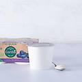 yogurt magro al mirtillo bio 2 x 125 g