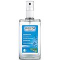 deo spray salvia 100ml