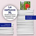 Epson Set Cartucce Stampante Serie Fragole Claria Multipack T29 C13t29864020