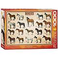 - puzzle da 1000 pezzi di cavalli