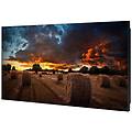 vm55b-u 55" display