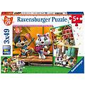 - puzzle 44 gatti 3 x 49 pz 18 x 18 cm 05013
