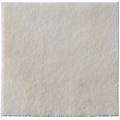 coloplast spa biatain ag alginate 10x10x10 3760