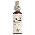Schwabe Fiori Di Bach 33 Walnut Gocce 20 Ml