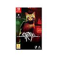 stray gioco nintendo switch