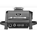 barbecue bbq elettrico woodfire