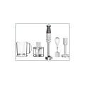 frullatore ad immersione hbm40. 306wh