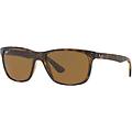 Rayban Rb4181 710 83 Light Havana Polarized Brown