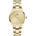 - orologio da donna iconic link 28mm dw00100403