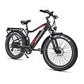 bici elettrica per adulti robin st 26 pollici. batteria 250w 48v13ah