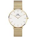 - orologio da donna classic petite evergold 36mm dw00100346