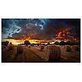 display vm46b-u 46 lcd full hd 1920x1080 24/7 nero
