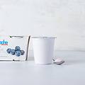 yogurt intero al mirtillo 2 x 125 g