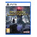 - shadow labyrinth ps5 nessuno