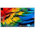 75hfl6214u 190 5 cm (75") 4k ultra hd smart tv wi-fi antracite (75hfl6214u/12)