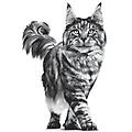 v-diet gastrointestinal multipack gatto 12x85g