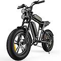 bicicletta elettrica m20 da 20 pollici. doppia batteria da 48 v 26 ah