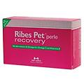 nbf lanes pet recovery mangime complementare per dermatosi di cani e gatti 60 perle