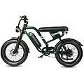 bicicletta elettrica mx10 500w 48v13. 5ah 20 pollici verde