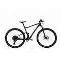 mtb ricondizionata · olympia f1-x x01 · buone condizioni